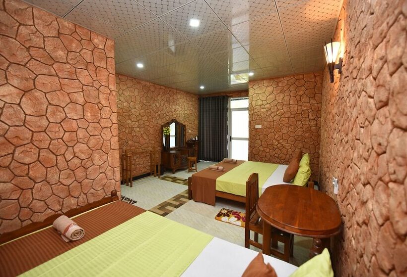 مبيت وإفطار The Summer Resort