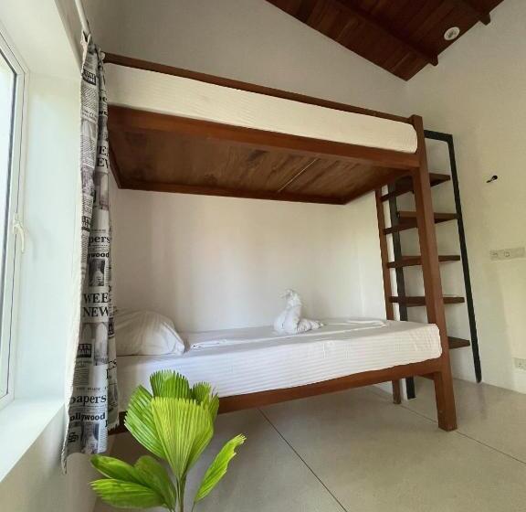 Bed and Breakfast Villa Fauna