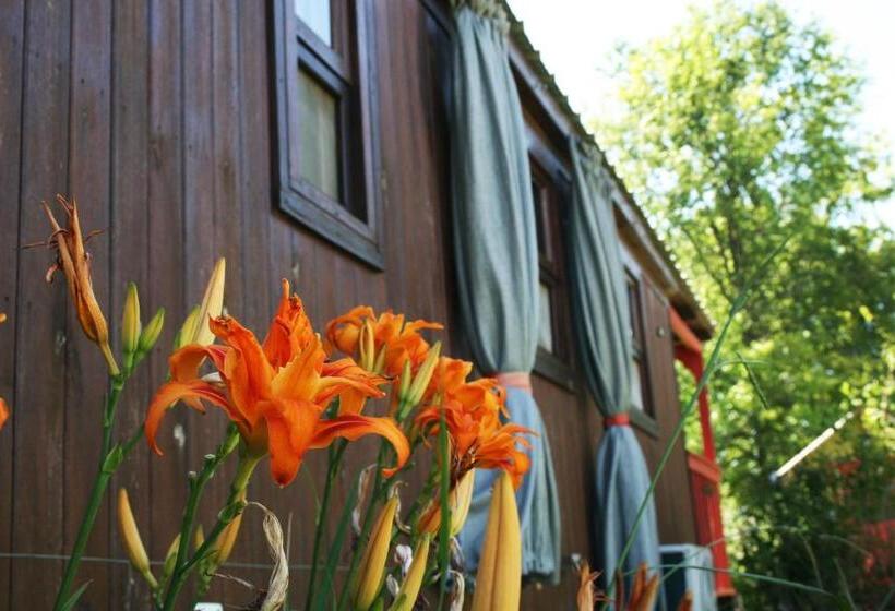 El Sendero   Güiraldes B&b