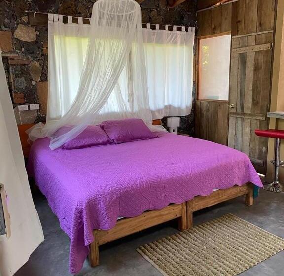 ホテル Boutique Bacaanda