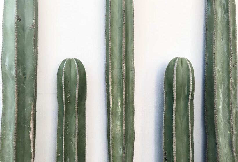 酒店 Six Two Four Urban Beach