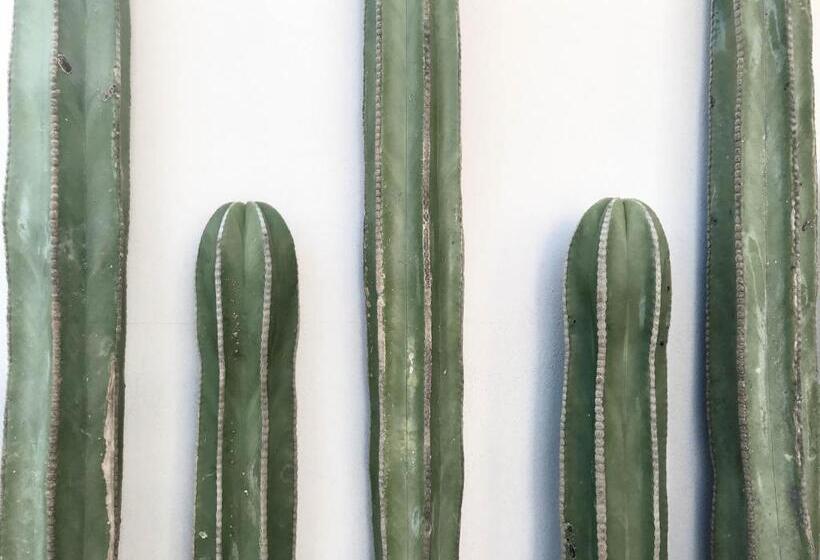 酒店 Six Two Four Urban Beach