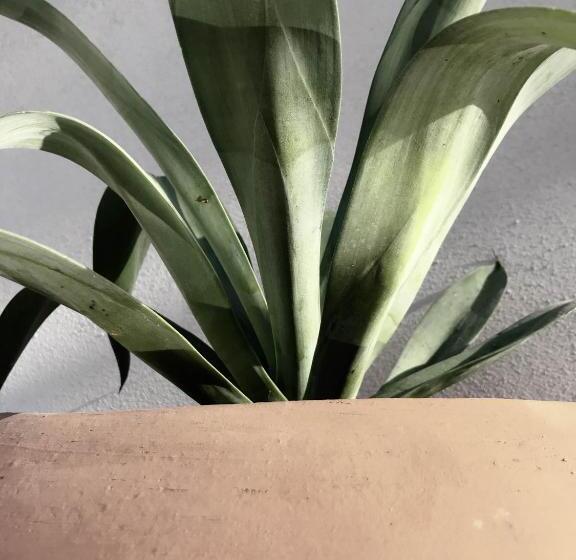 酒店 Six Two Four Urban Beach