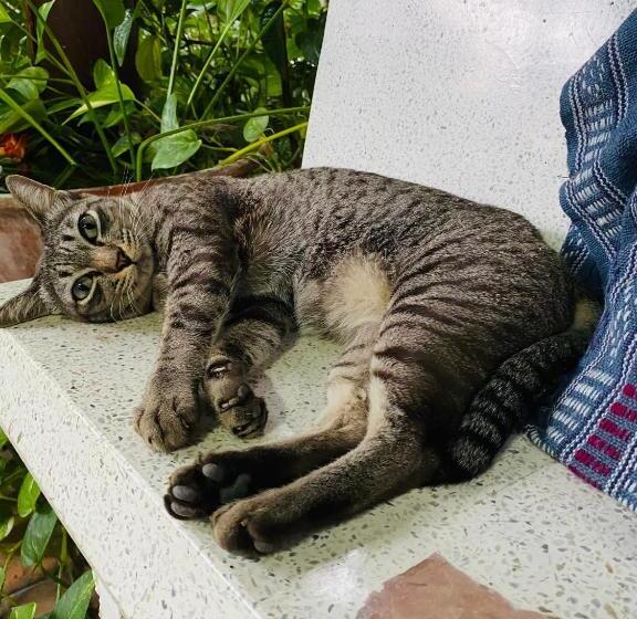 膳宿费 Banthai Guesthouse