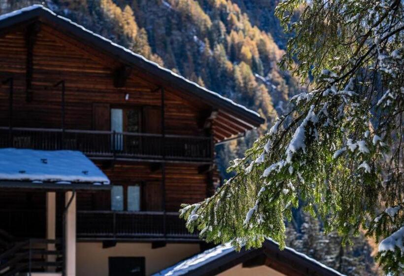 호텔 Alpine Forest