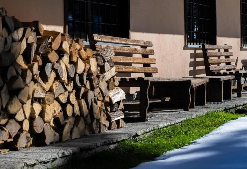 호텔 Alpine Forest