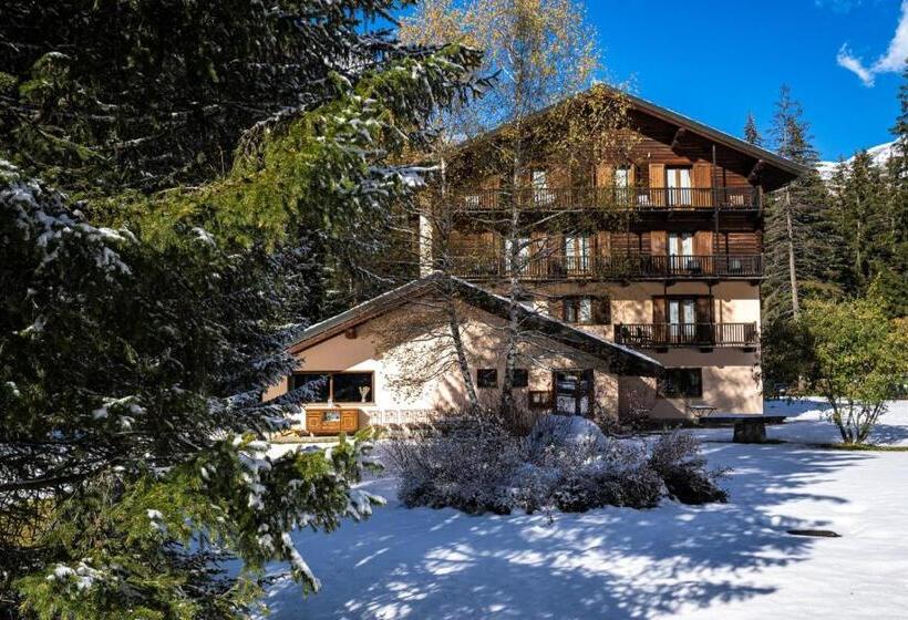 호텔 Alpine Forest