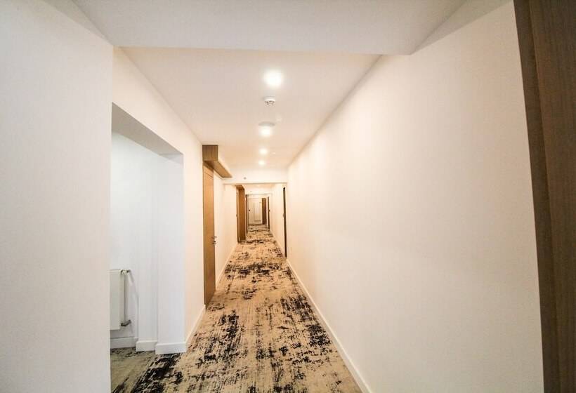 Avenue   Avenue Hotels