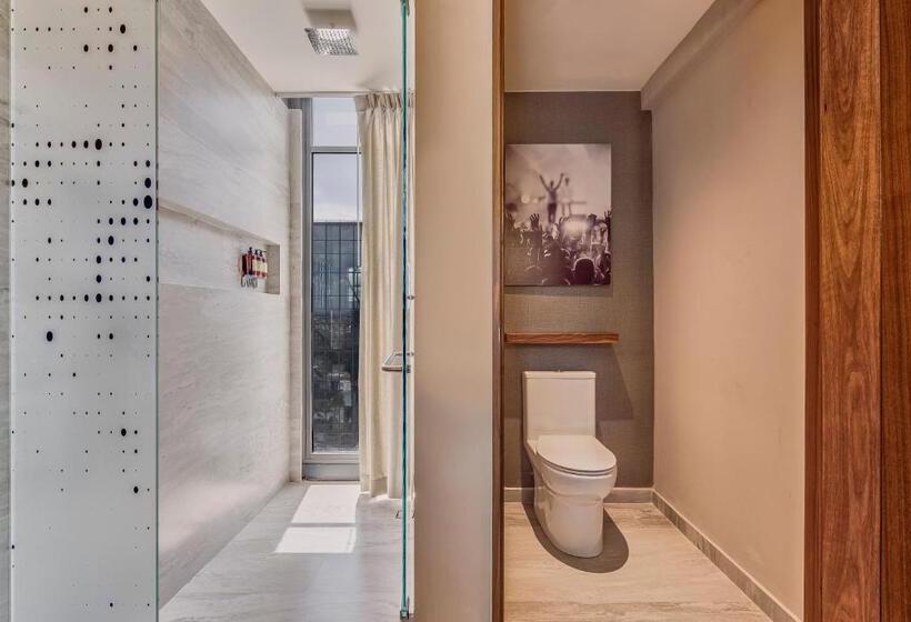 ホテル Fiesta Americana Viaducto Aeropuerto