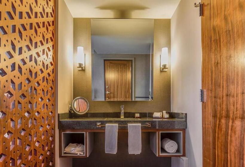 ホテル Fiesta Americana Viaducto Aeropuerto