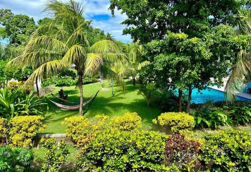 Отель Hospedaje Soma Ometepe