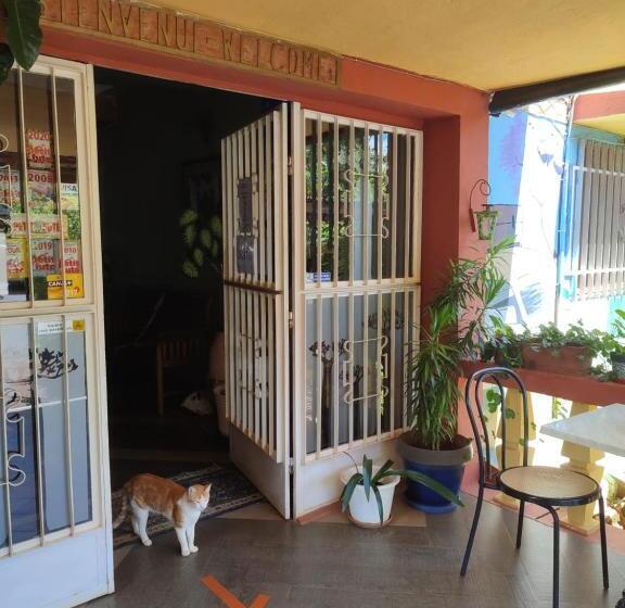 酒店 Ivato , Airport