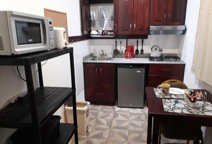 פנסיון Aparthotel Boquete Apartments