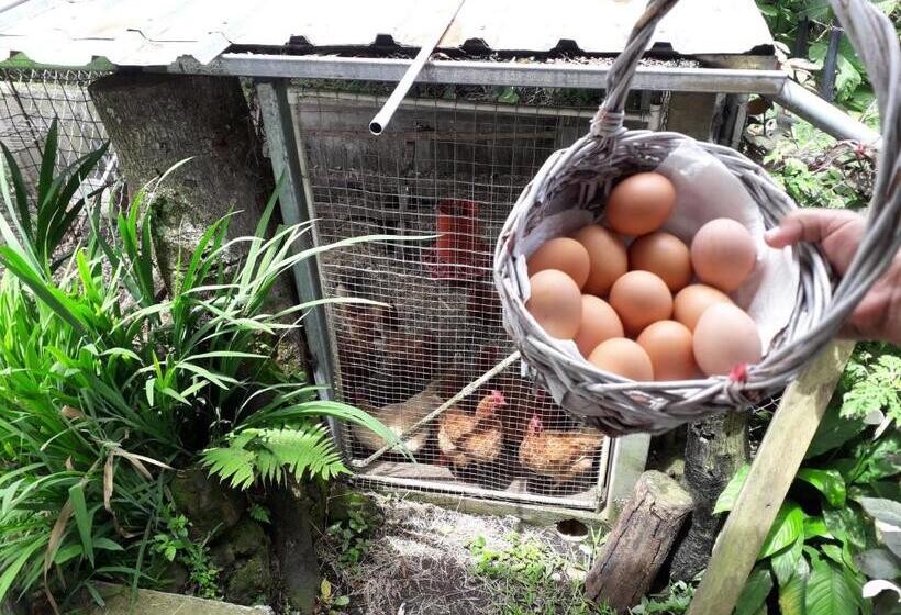 פנסיון Aparthotel Boquete Apartments