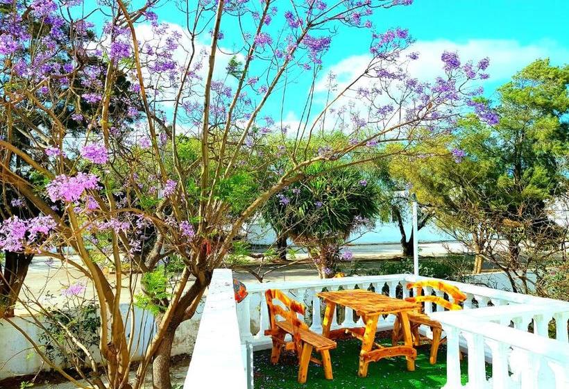 پانسیون Dar Jaafar