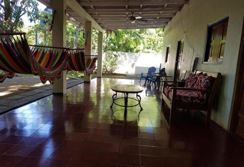 فندق صغير Tapihouse