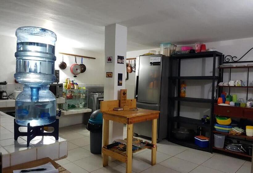 فندق صغير Tapihouse