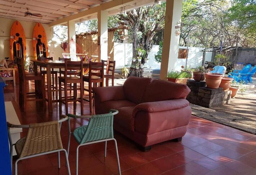 فندق صغير Tapihouse