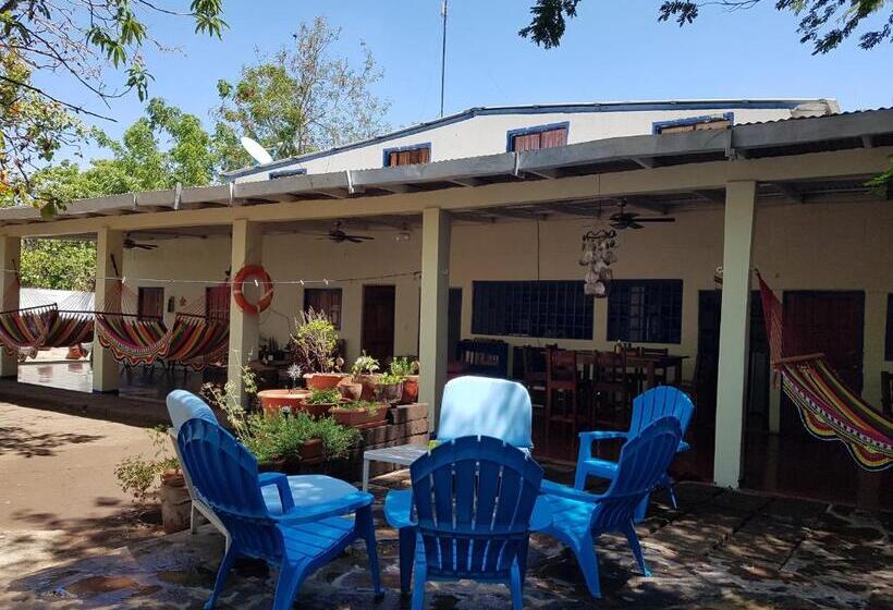 فندق صغير Tapihouse