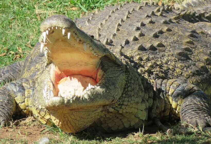 צימר Bare Feet Retreat