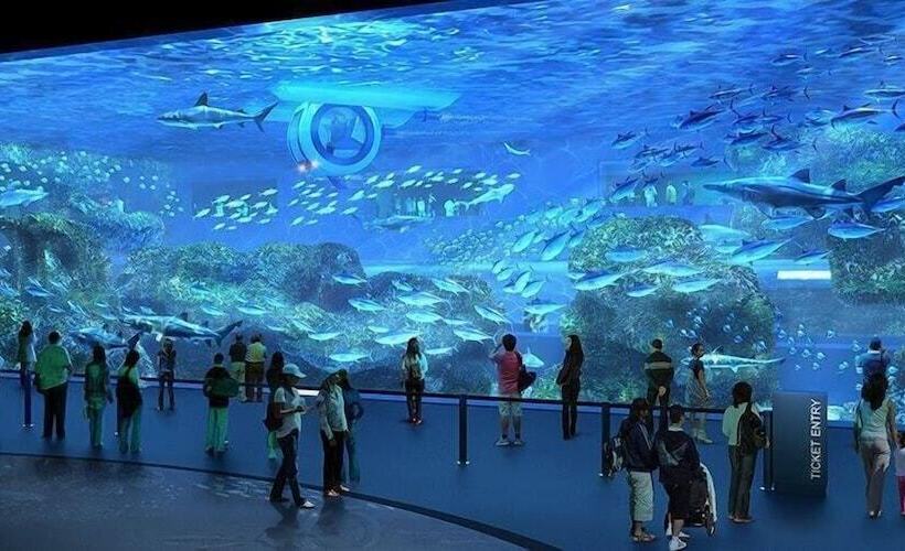 تختخواب و صبحانه Bee Force Backpackers Inn   Cebu