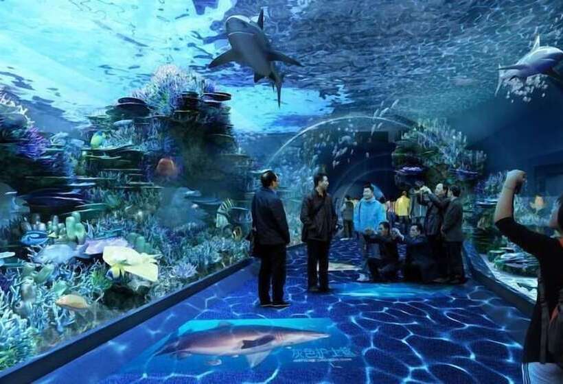 تختخواب و صبحانه Bee Force Backpackers Inn   Cebu