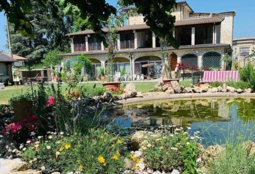 Bed And Breakfast Garofalo Rooms Castelli Romani