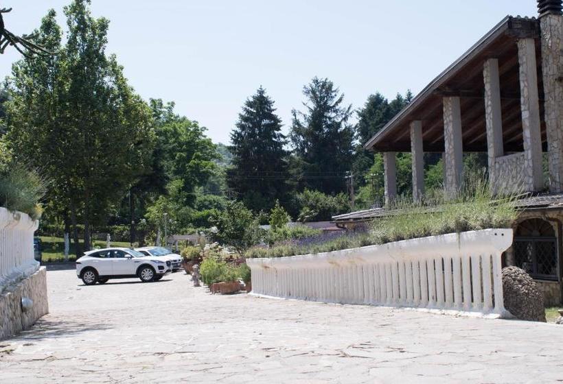 Bed And Breakfast Garofalo Rooms Castelli Romani