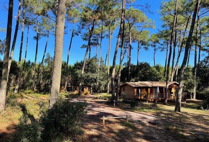 Green Resort