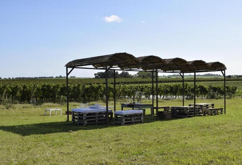 فندق Casa De Aitona Bodega Zubizarreta