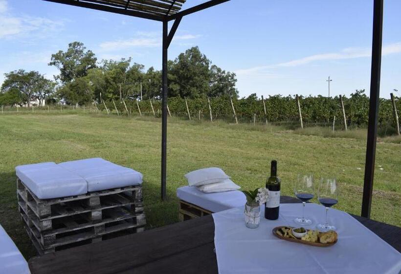 فندق Casa De Aitona Bodega Zubizarreta