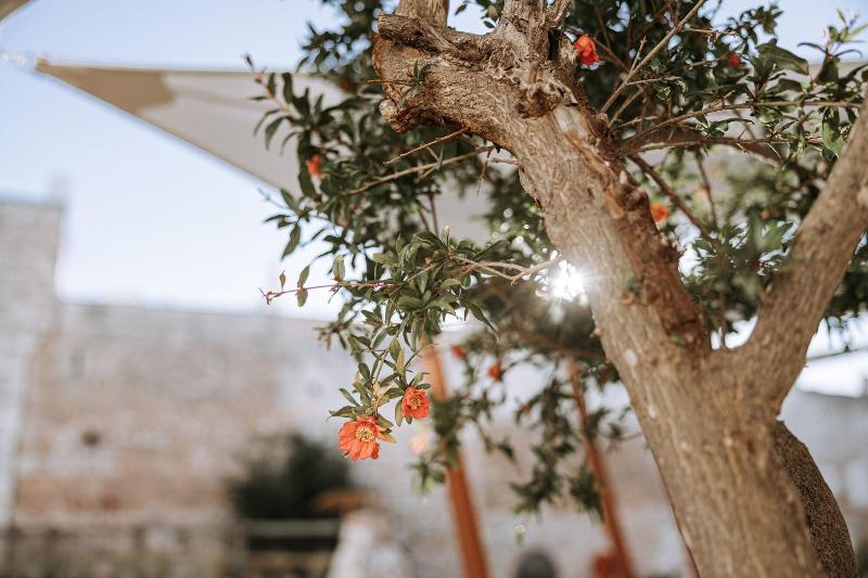 Paragon 700 Boutique Hotel & Spa