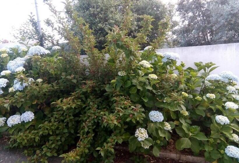 Comfortable Apartment With Mountain View 90 M² Fireplace