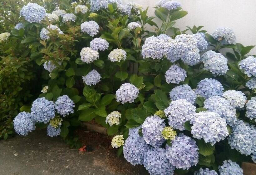 Comfortable Apartment With Mountain View 90 M² Fireplace