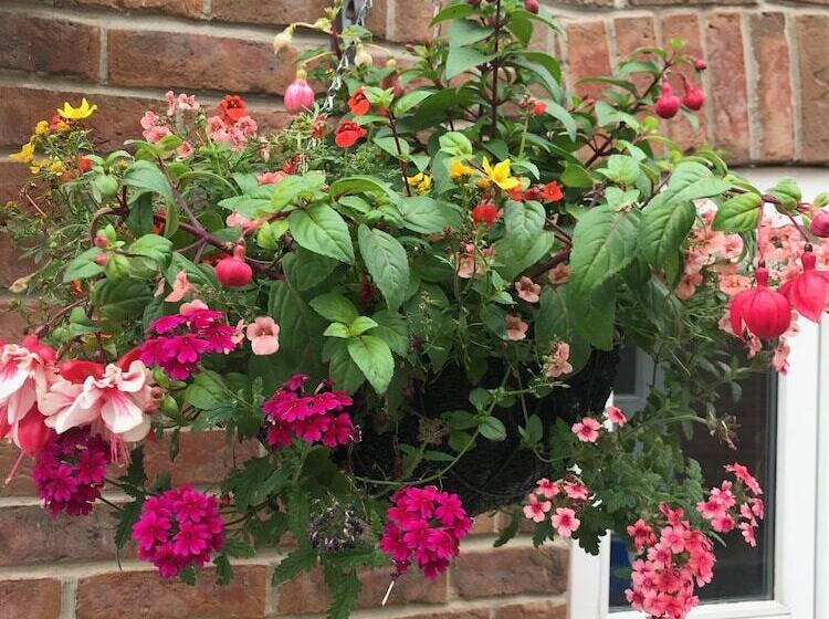 3 Crown Barton, Glastonbury