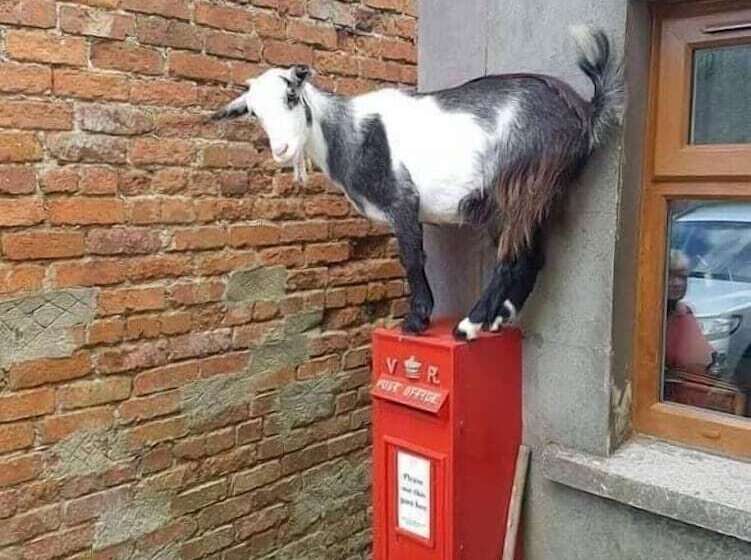 ベッドアンドブレックファースト Beech Lane Farmhouse