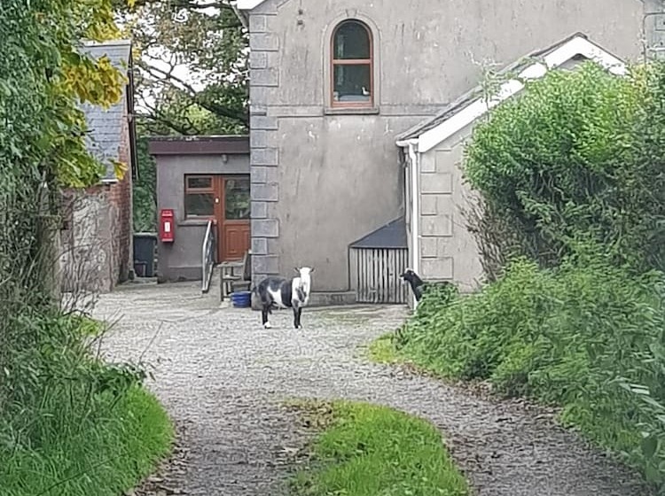 ベッドアンドブレックファースト Beech Lane Farmhouse