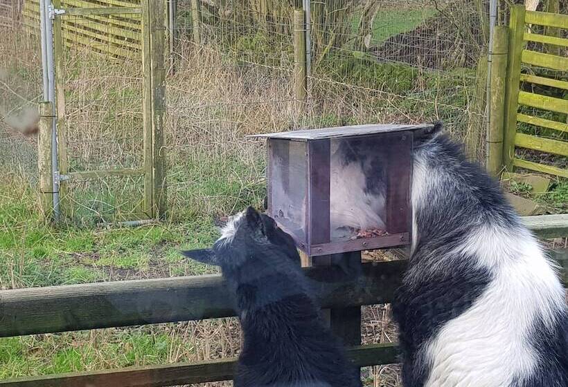 ベッドアンドブレックファースト Beech Lane Farmhouse