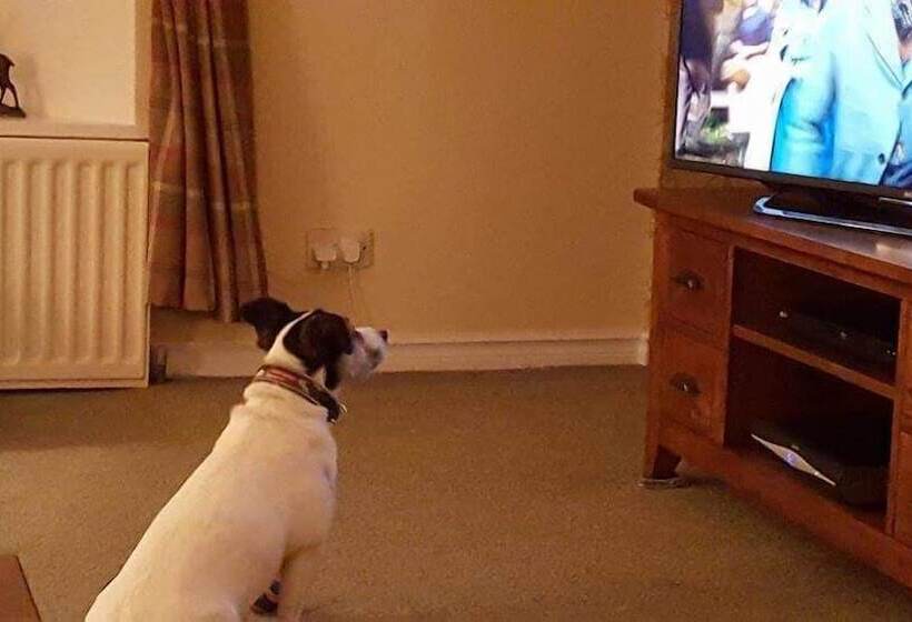 ベッドアンドブレックファースト Beech Lane Farmhouse