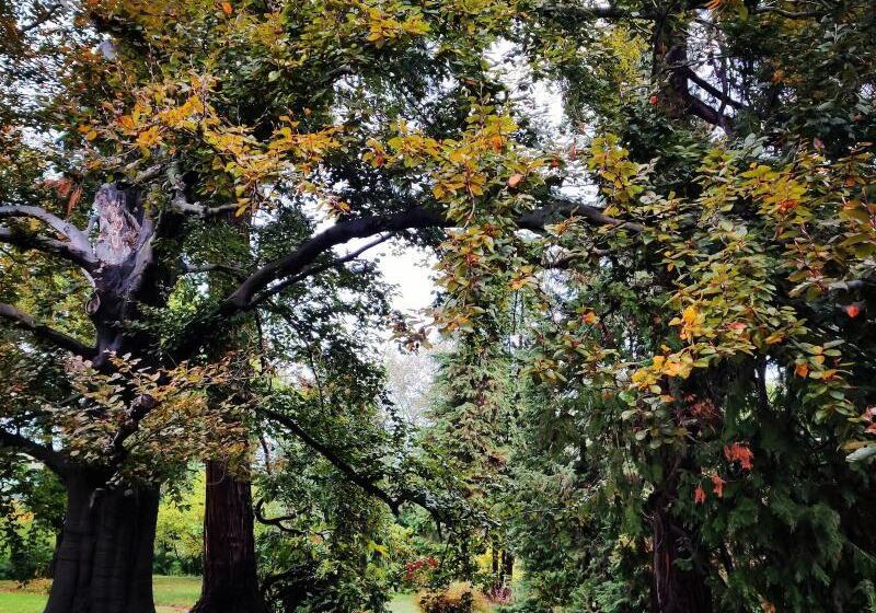 민박 Dandelion Como Suites & Park