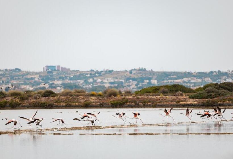 住宿加早餐  Sei   Isola Lunga