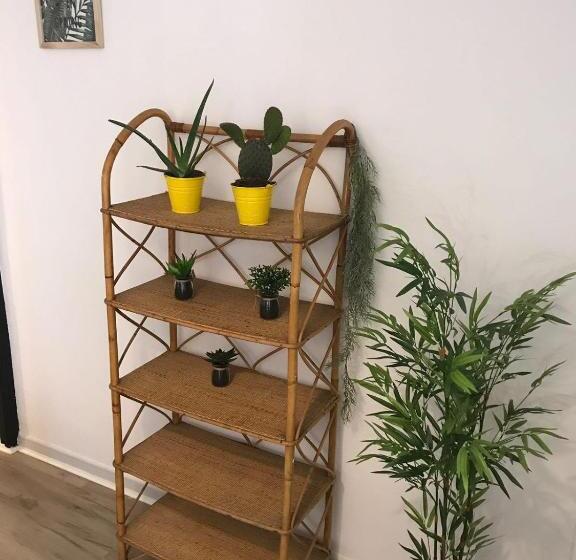 Cactus 2 Bedroom Apartment On Calle San Miguel Minutes From The Beach By Namaste Elite