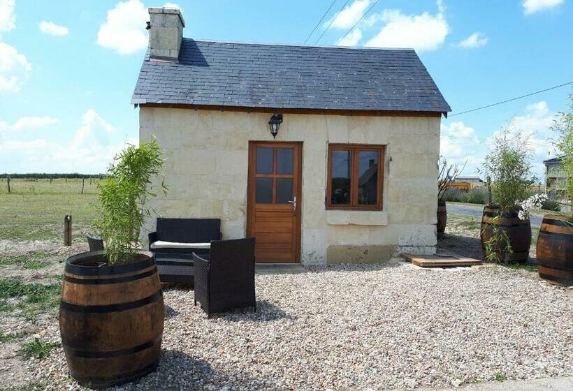 Centre équestre D Azay Le Rideau