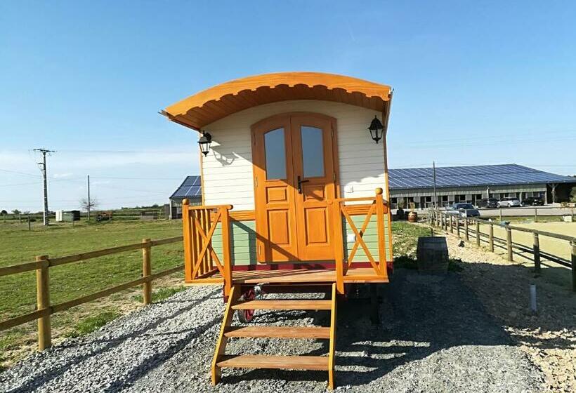 Centre équestre D Azay Le Rideau