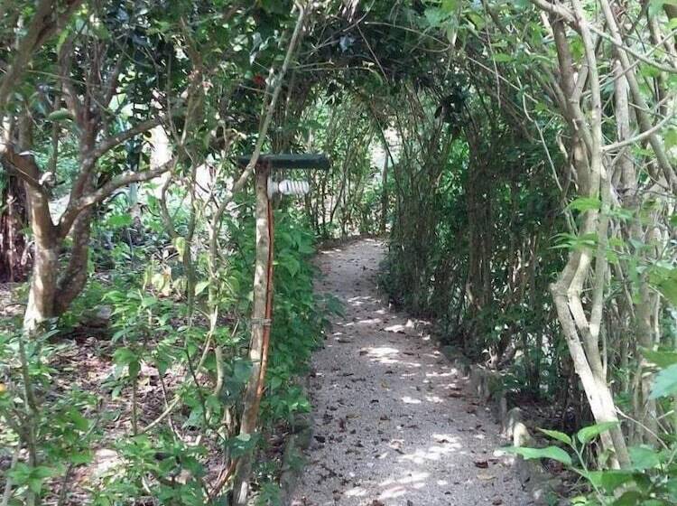 בית מלון כפרי Centro Ecoturistico Yaajche