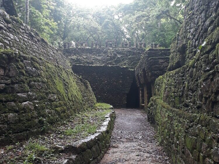 בית מלון כפרי Centro Ecoturistico Yaajche