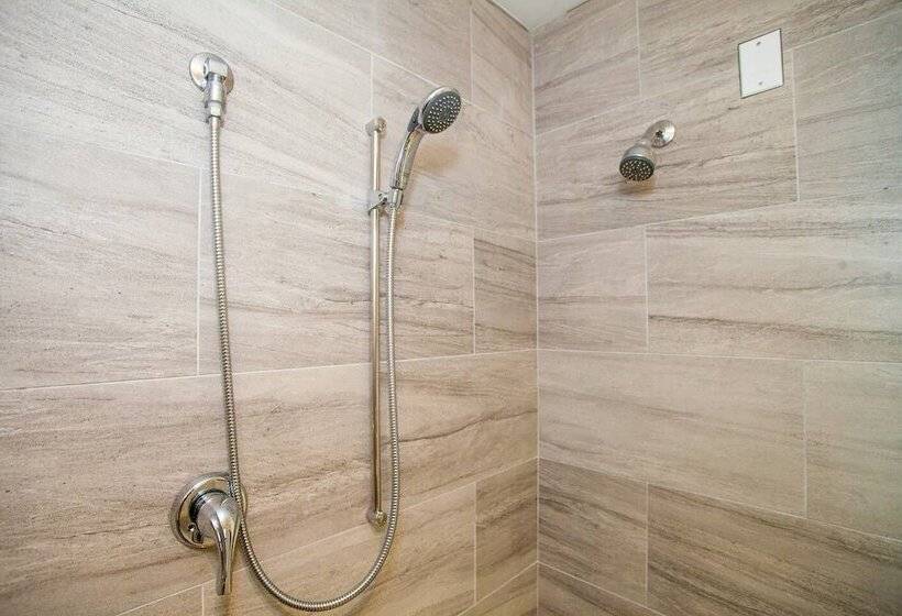 New 4 Bed 2 Full Bath Condo Near Back Bay