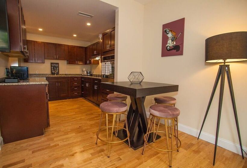 New 4 Bed 2 Full Bath Condo Near Back Bay