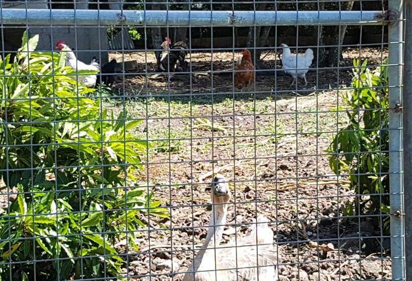 ペンション Casa Marques