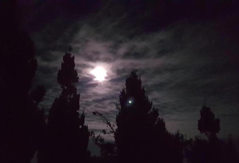 بنسيون Casa Marques